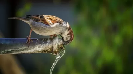 Слушания по повышению тарифов на воду пройдут в Астане