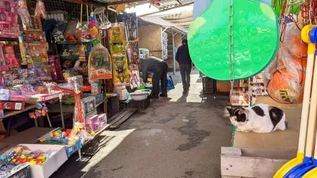 Никольский рынок в Алматы хотят модернизировать