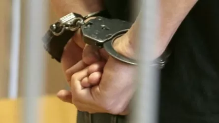 Алматыда ірі көлемде есірткі заттарының контрабандасы әшкереленді