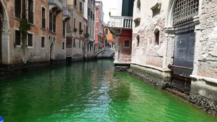 Зеленой стала вода в главном канале Венеции