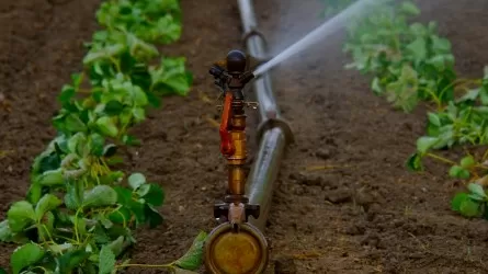 Проблемы водоснабжения затрудняют развитие сельхозпроизводства в Мангистауской области
