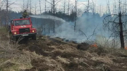 Абай облысындағы тілсіз жау күшеюі мүмкін бе? 