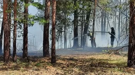 Оперативная информация по пожару в Абайской области: горят 3,5 тыс. га