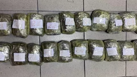 Более 22,5 тонны наркотиков и наркотического сырья изъяли сотрудники КНБ