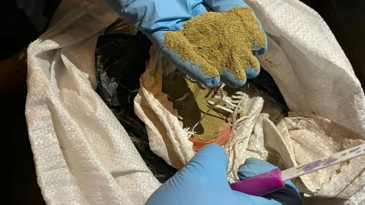 Петропавлда жертөледен бір центнерден астам марихуана тәркіленді