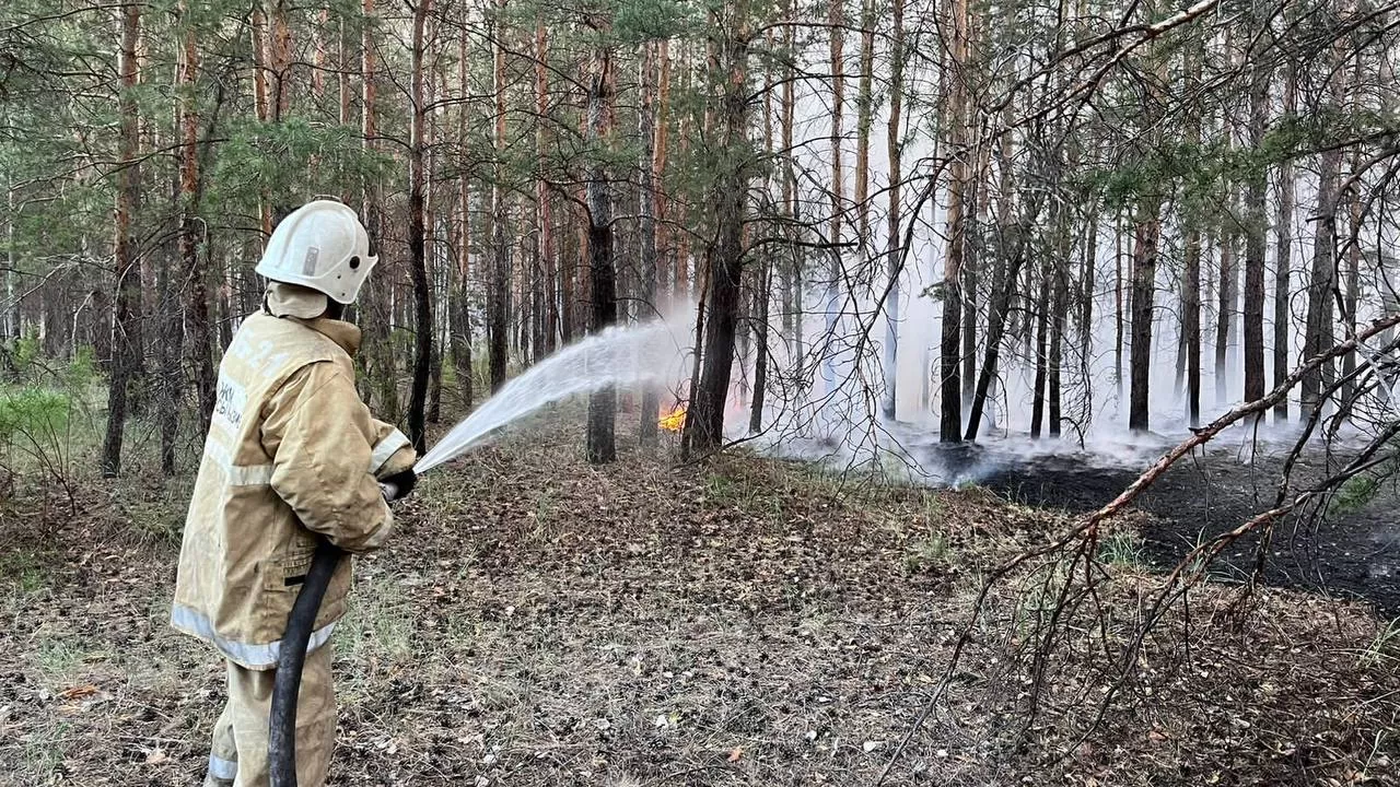 164 сброса воды на очаг пожара в области Абай осуществлено за 8 часов