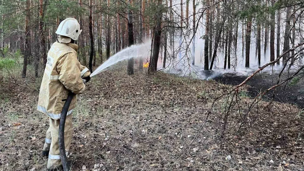 Огонь движется в направлении Каштакского лесничества в области Абай