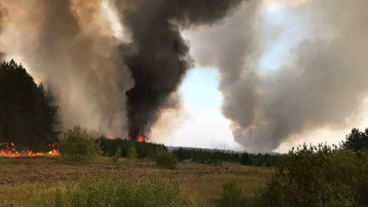 Орман өртінен келген шығын әлі белгісіз