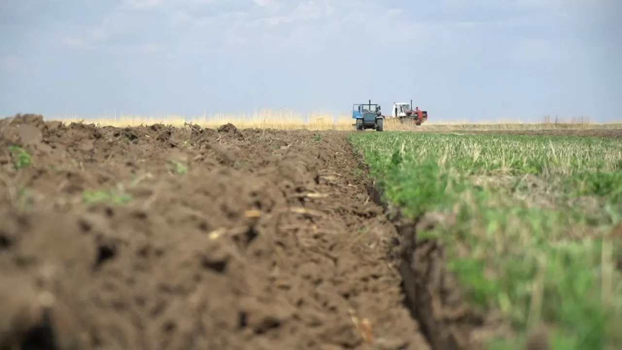 Ақмола облысында 118,9 га орман қоры учаскесі мемлекетке қайтарылды