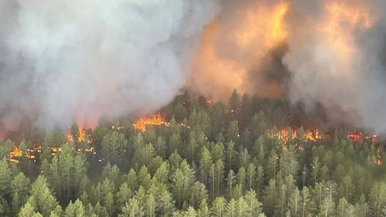Лесной пожар в Абайской области охватил около 30 тыс. гектаров 