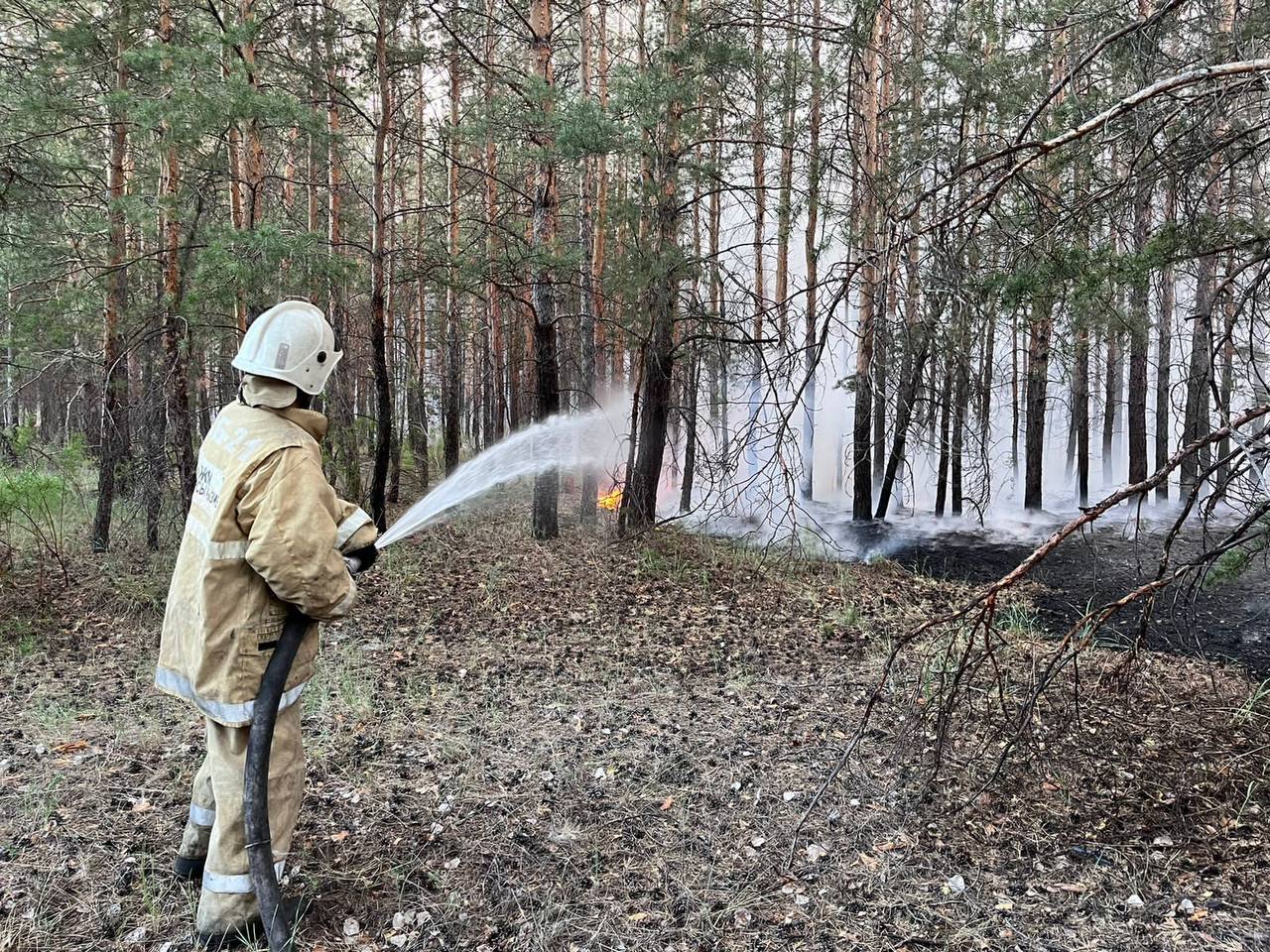 В двух из трех очагов пожар почти локализован в области Абай