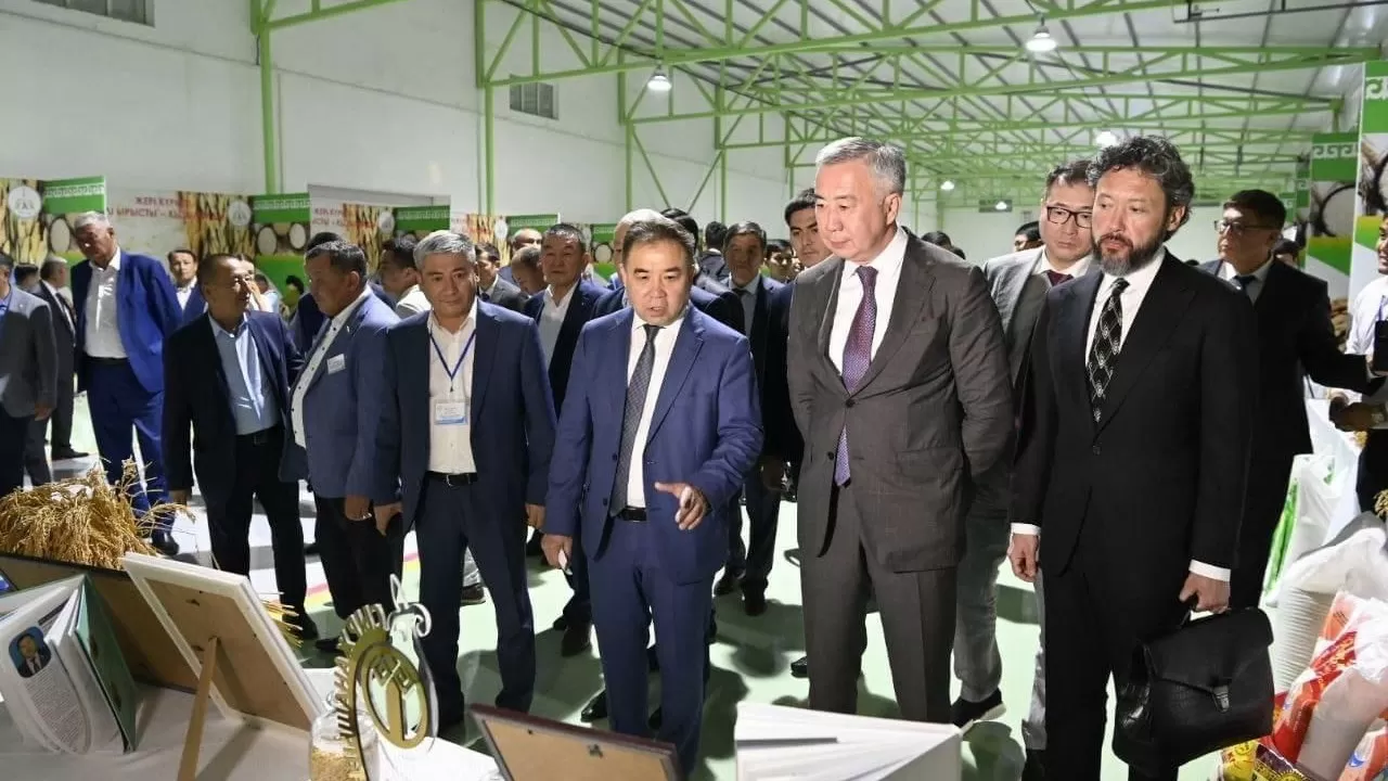 "Жері күрішті, елі ырысты Қызылорда" күріш көрме-жәрмеңкесі басталды