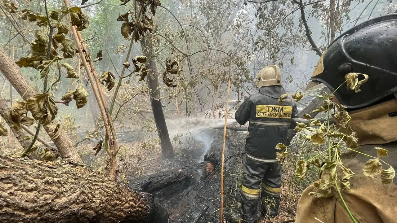 Пожар в Абайской области: жители трех сел эвакуировались