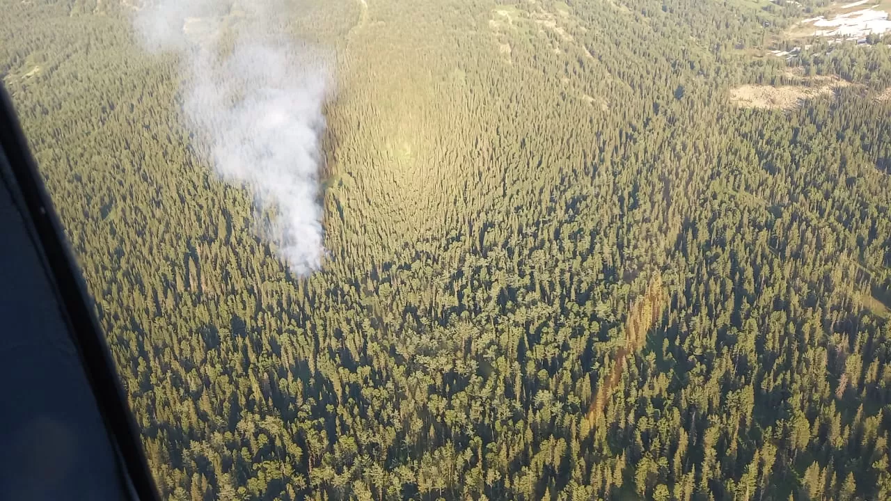 В ВКО в нескольких местах тушат лесные пожары