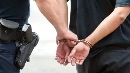 В Павлодаре задержали молодых людей, угрозами заставивших оформить несколько кредитов