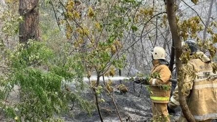 Абай облысындағы өрт: «Елдімекендерге қауіп жоқ»