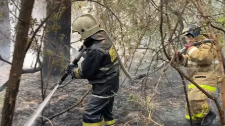 Тушение пожара в области Абай продолжается на пяти участках
