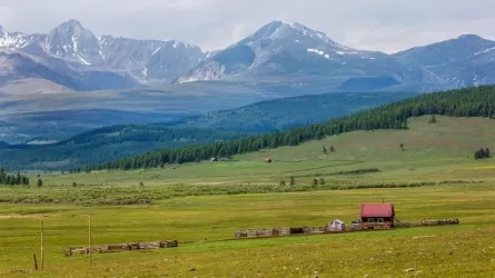 137 природных очагов чумы выявили в Монголии 