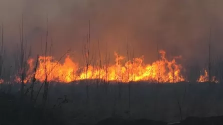 Степь на огромной площади загорелась в Кызылорде