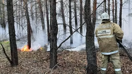 Смаилов поручил пересмотреть алгоритм реагирования на природные пожары