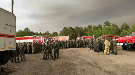 Общая площадь пожара в Абайской области составляет более 60 тыс. гектаров