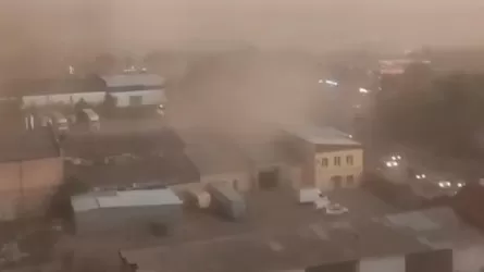 Ураган прошелся по Петропавловску