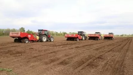 Қарағанды облысында егіс жұмыстары аяқталды