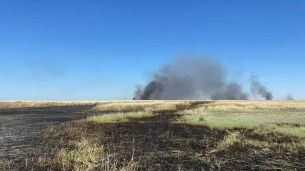 Возгорание камыша произошло в Акмолинской области
