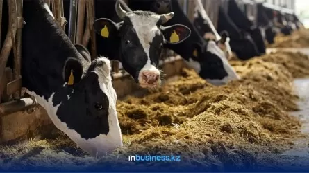 Минсельхоз ищет инвестора для проектов по изготовлению кормовых добавок для скота