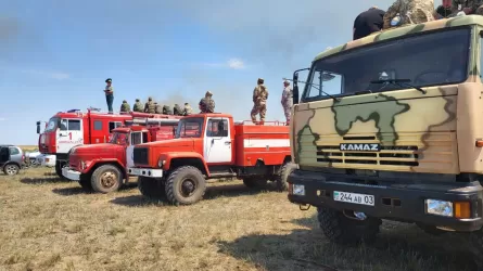 Возгорание камыша на озере Сарыколь локализовано