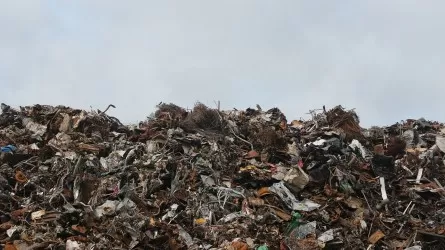 Мусорные деньги – на переработке отходов: как решить острую проблему свалок ТБО? 