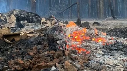 Абай облысындағы өрттің шығыны қалай есептеледі? – министр жауабы