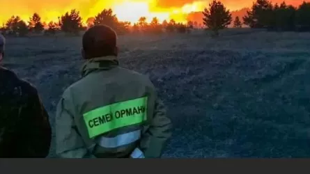 В минтруда прокомментировали условия работы в "Семей Орманы"