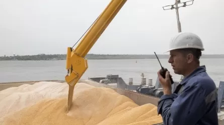 Выдавать субсидии при сдаче зерна на переработку внутри страны предложили в Казахстане