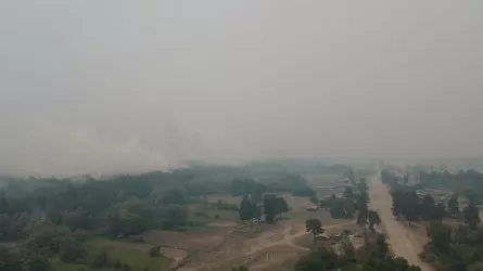 Оперативная информация по тушению пожара в Абайской области – направлены дополнительные силы