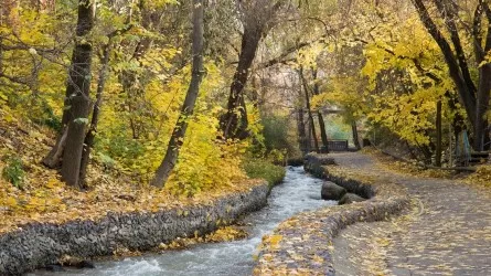 Власти Алматы отобрали у частников верхнюю часть Теренкура