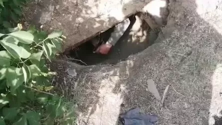 Павлодарда есірткі жасырушылар ұсталды
