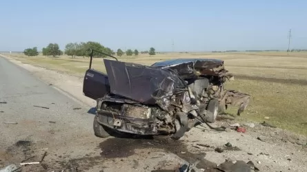 Пять человек погибли в ДТП в СКО