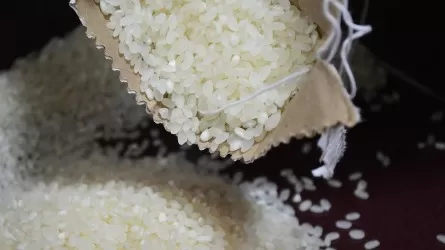 Почти половину обработанного урожая риса казахстанские компании отправляют на экспорт