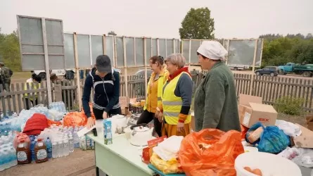 Абай облысындағы өрт: Әкімдік қандай көмек көрсетуде