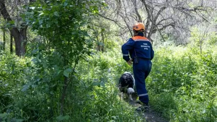 Республикалық жедел-құтқару жасағына атау беріледі – қаулы жобасы