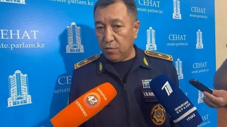 ТЖМ өртті әуеден сөндіретін ұшақтың жоқтығы туралы: «Оған ақша бөлінбеген»