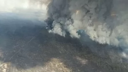 Пожар в Абайской области: космомониторинг работал в штатном режиме