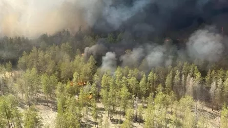 Абай облысында орман өрті тікұшақтан сөндіріліп жатыр