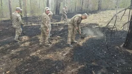 Мужчина при лесном пожаре в Абайской области отравился угарным газом