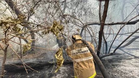 Halyk Bank окажет денежную помощь пострадавшим при пожаре в Абайской области