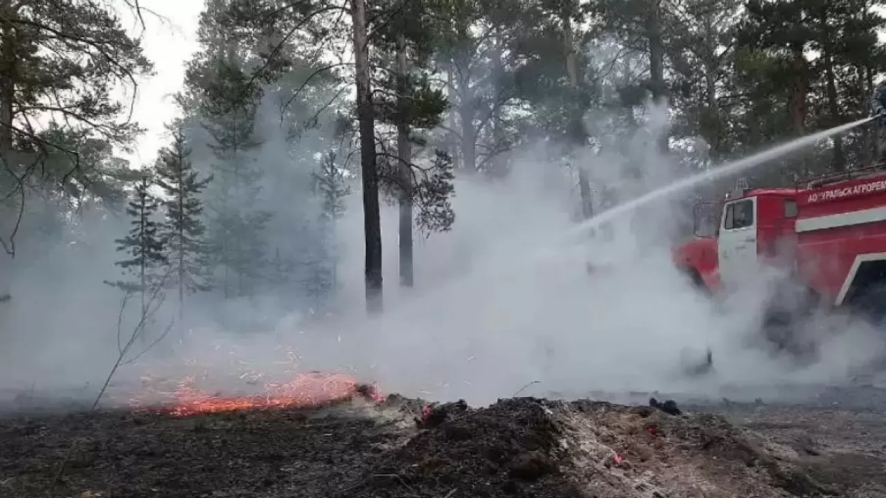 В Павлодарской области тушат три лесных пожара