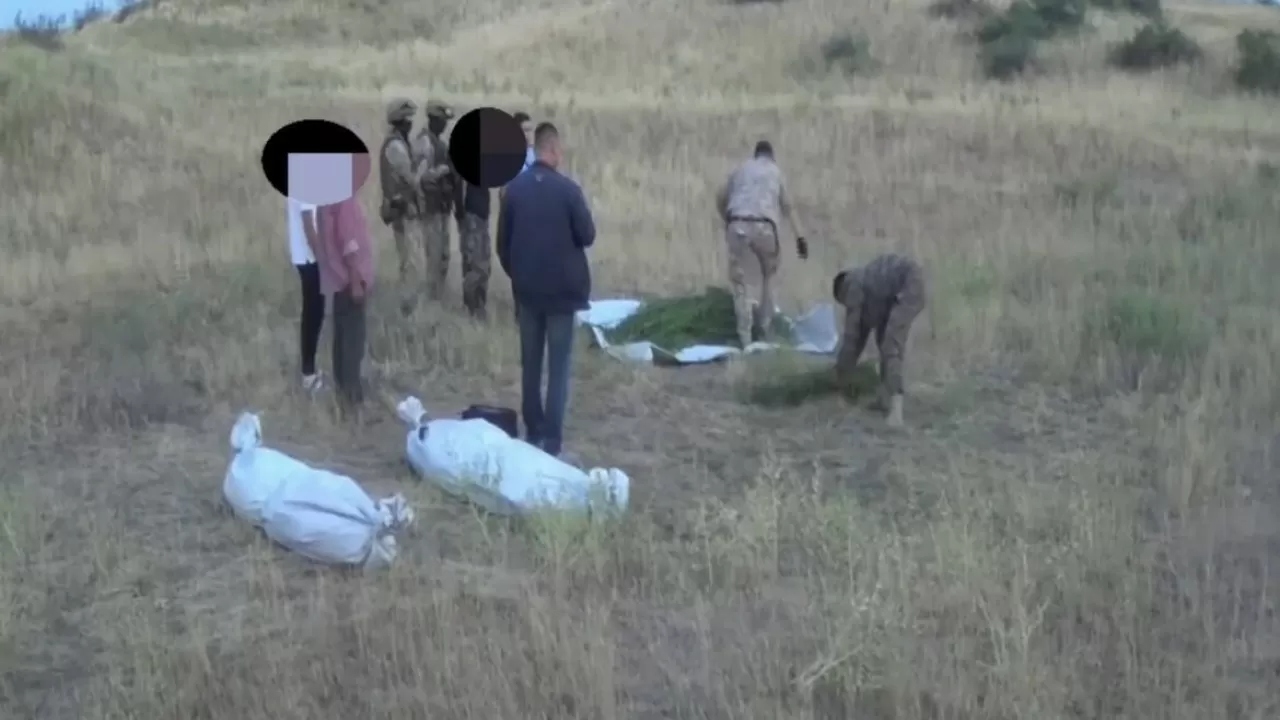 Шуда 280 келіге жуық есірткі заты тәркіленді