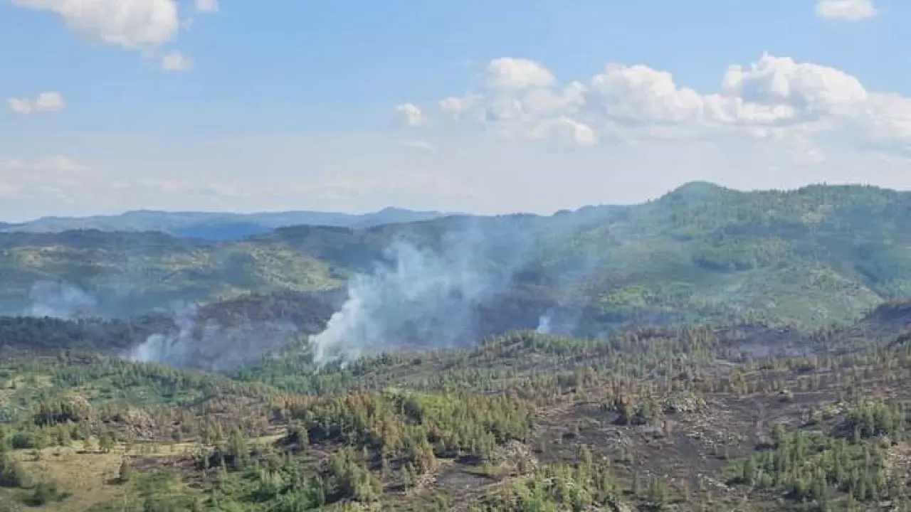 Іле-Балқаш аумағында өрт сөндіру жұмыстары жалғасып жатыр