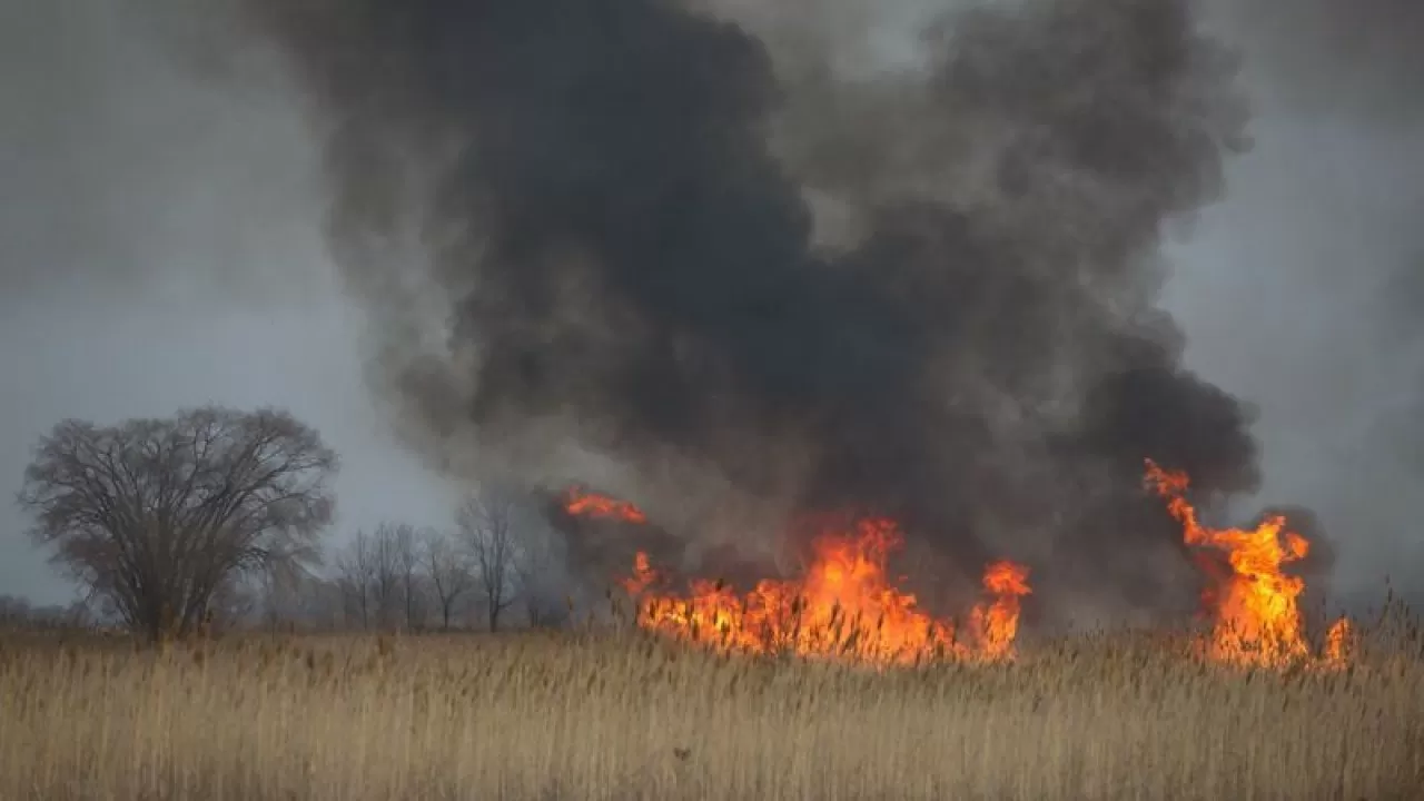 Қорғалжын ауданындағы қамыс өрті сөндірілді